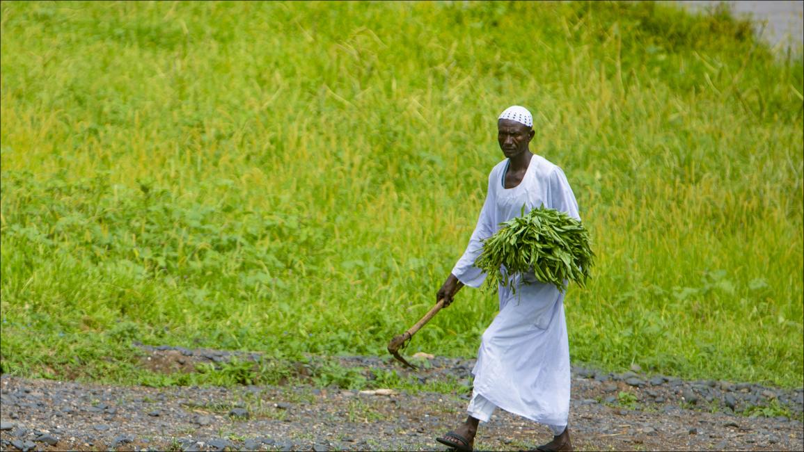 أول مرة منذ 25 عاماً... سودانيون يعبرون "عطبرة" ليزرعون "الفشقة"