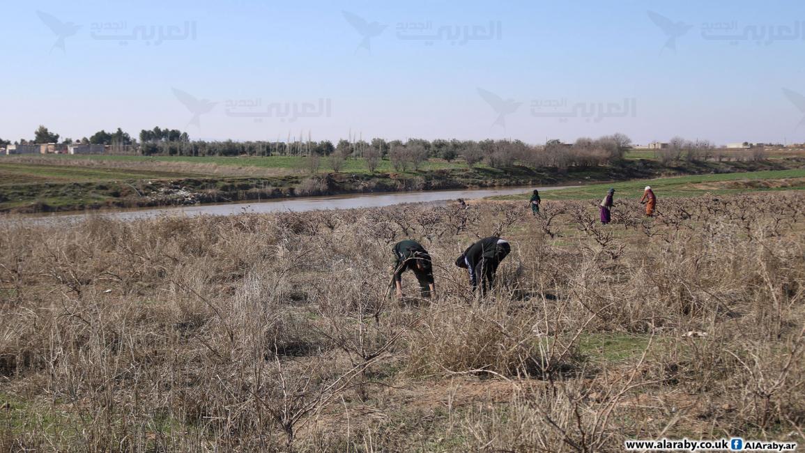 بعد زلزال تركيا.. نهر الخابور يتدفق مجدداً في شمال شرق سورية