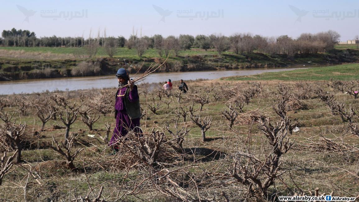 بعد زلزال تركيا.. نهر الخابور يتدفق مجدداً في شمال شرق سورية