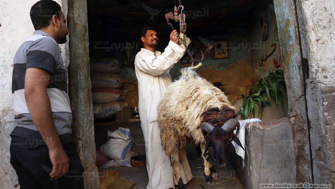 المذبح .. مصر: في موسم "الأضاحي".. تجار: الغلاء يحكم