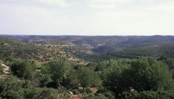 الجبل الأخضر (وولفغانغ كيهلر/ Getty)