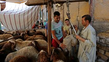 تُمنع إقامة أي شوادر لعرض الذبائح الحية في الطرقات (فاضل داوود/ Getty)