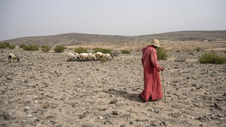 في سوس ماسة في المغرب - 19 فبراير 2023 (خورخيه فرنانديث/ Getty)