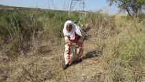 حليمة الفلسطينية.. حكاية الشوق للطفولة على شط يافا